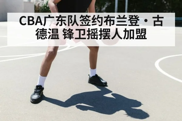 CBA广东队签约布兰登·古德温 锋卫摇摆人加盟