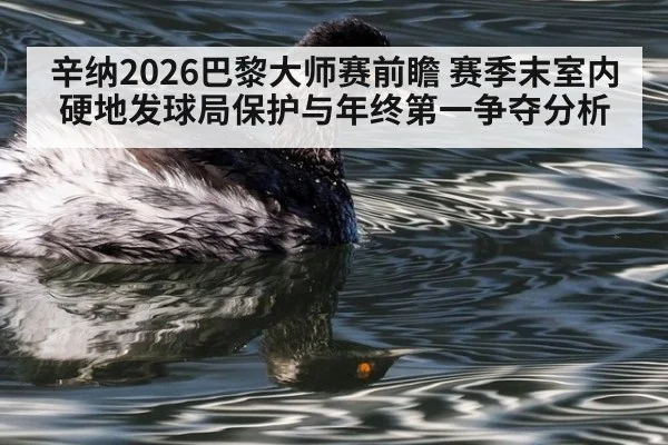 辛纳2026巴黎大师赛前瞻 赛季末室内硬地发球局保护与年终第一争夺分析